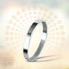 OM HQ - Silver - Image 3